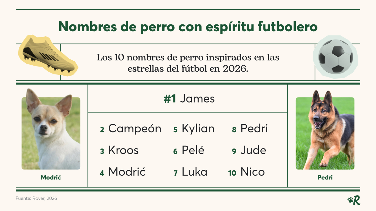 Nombres de futbolistas conquistan el ranking de perros en España